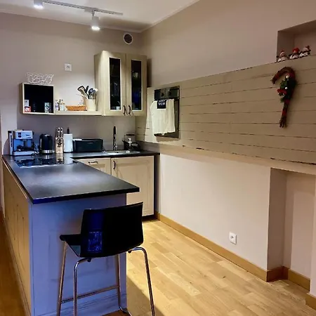 公寓 Grafitowy Laser 斯克拉斯卡波伦巴