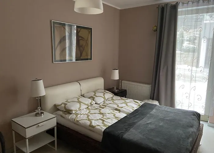 Daire Grafitowy Laser